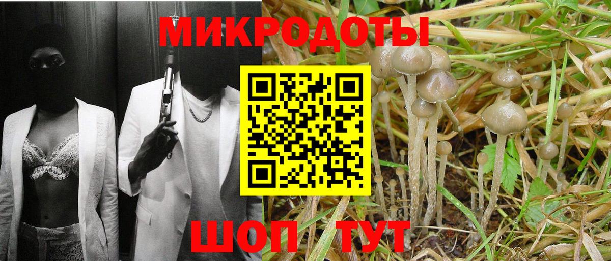 Галлюциногенные грибы ЛСД  Вход с VPN  наркошоп  Фрязино 